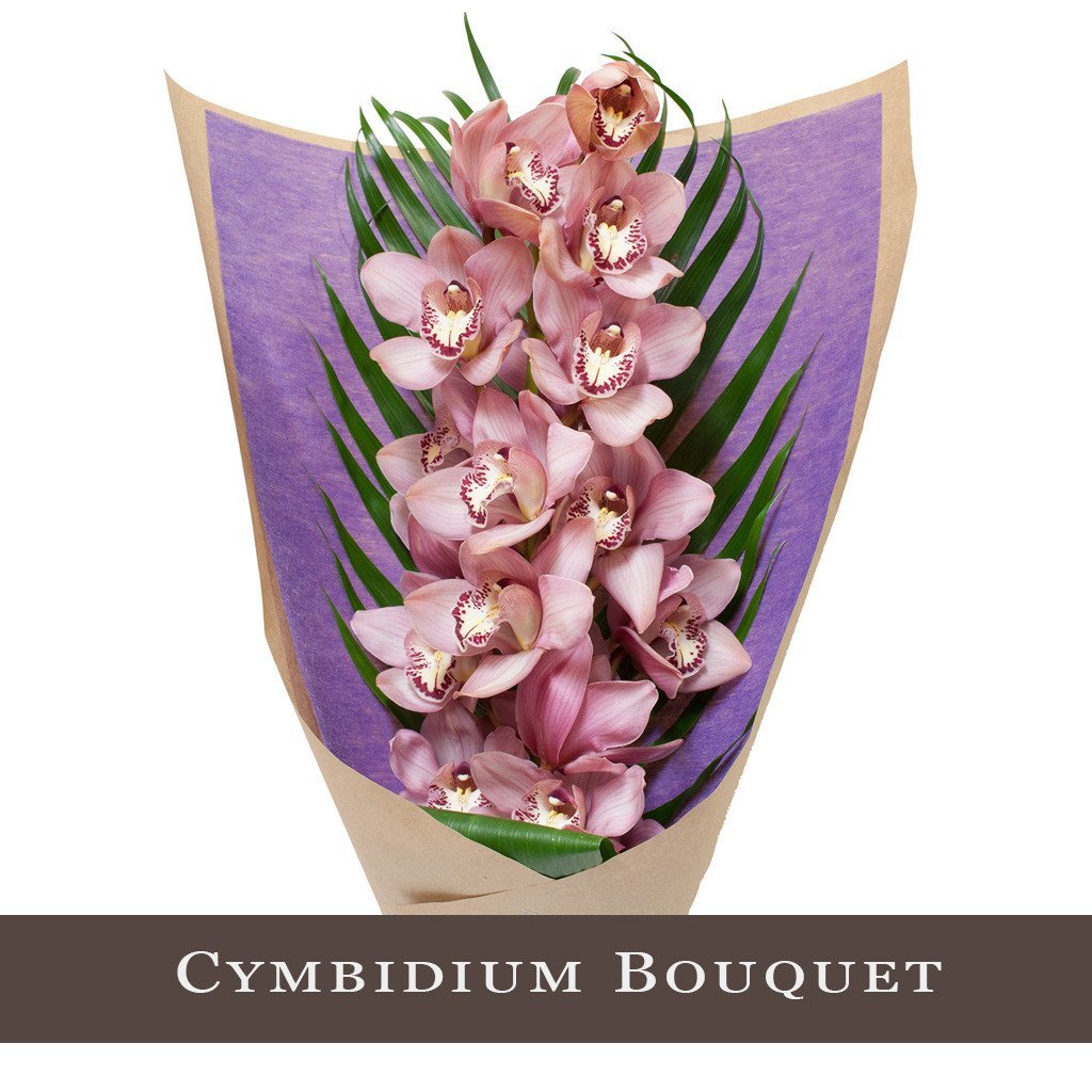 Fresh Blooms Flowers-Pink Cymbidium Bouquet