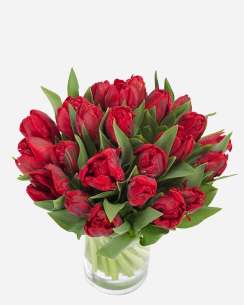 Fresh Blooms Flowers-Radiant Red Tulips