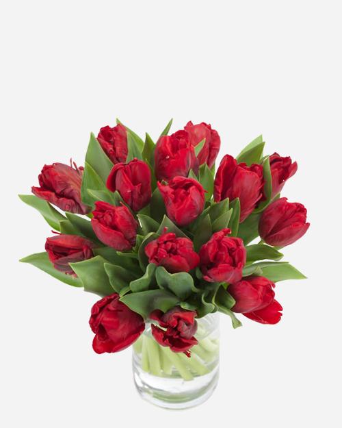 Fresh Blooms Flowers-Radiant Red Tulips