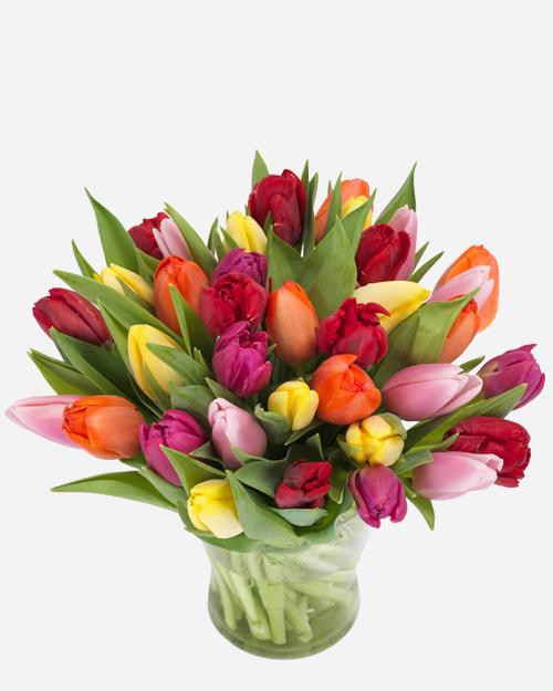 Fresh Blooms Flowers-Rainbow Tulips