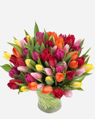 Fresh Blooms Flowers-Rainbow Tulips