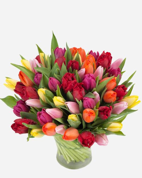 Fresh Blooms Flowers-Rainbow Tulips