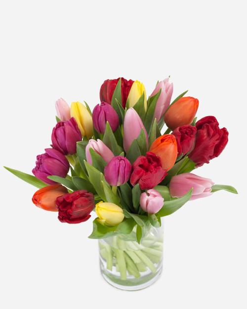 Fresh Blooms Flowers-Rainbow Tulips