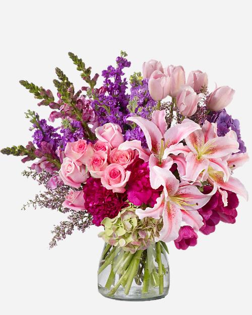 Fresh Blooms Flowers-Royal Radiance