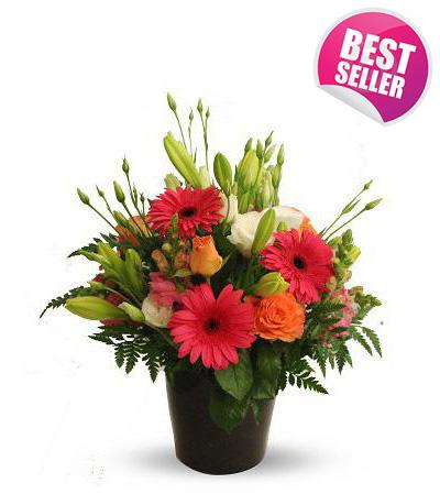 Fresh Blooms Flowers-Seasonal Delight