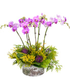 Fresh Blooms Flowers-Holiday Orchids Planter
