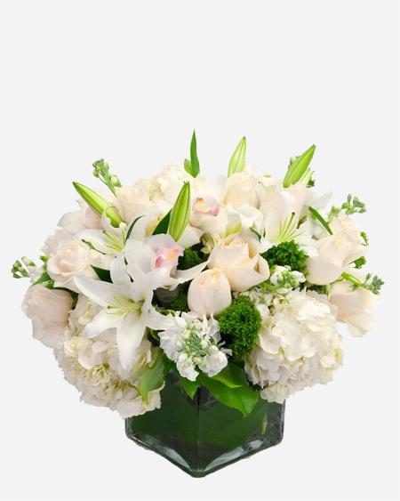 Fresh Blooms Flowers-Seasonal White & Green Cube