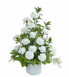 Fresh Blooms Flowers-Simple Love Tribute