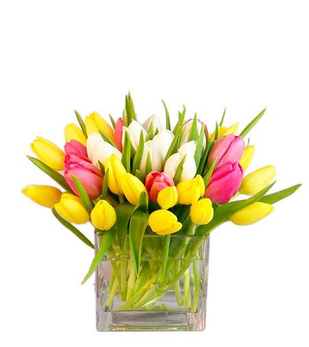 Fresh Blooms Flowers-Simply Tulips