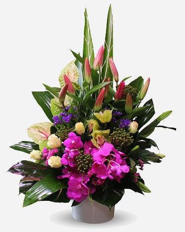 Fresh Blooms Flowers-Stunning Exotics