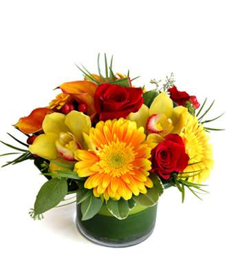Fresh Blooms Flowers-Sunny Delight