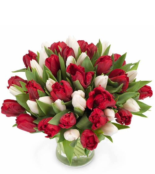 Fresh Blooms Flowers-Tulip Treasure