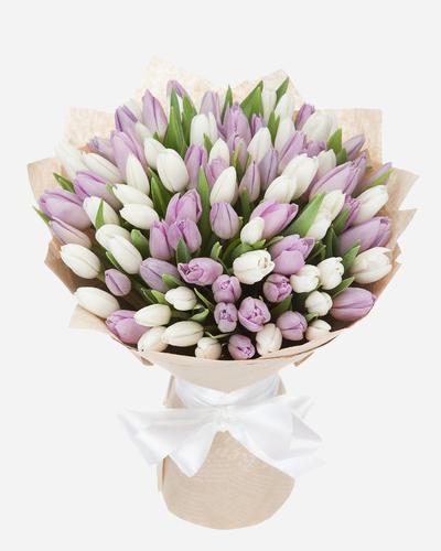 Fresh Blooms Flowers-Velvety Tulips Bouquet