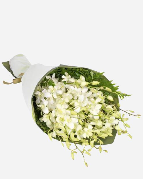 Fresh Blooms Flowers-White Dendrobium Orchids Bouquet