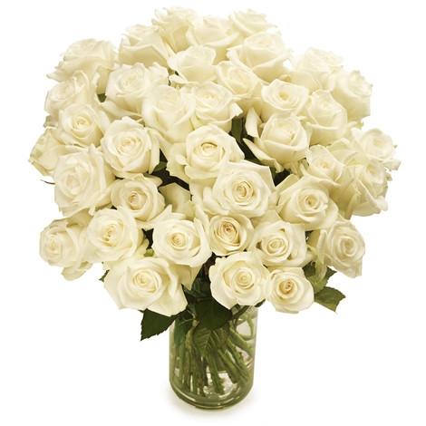 Fresh Blooms Flowers-White Roses Special