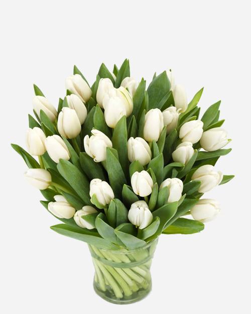 Fresh Blooms Flowers-Winter White Tulips