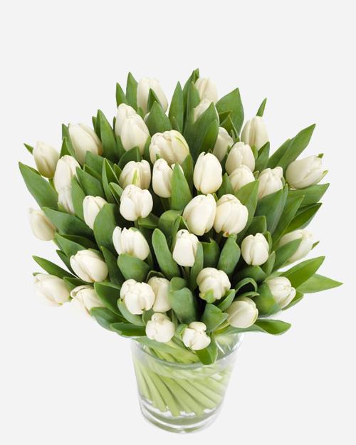 Fresh Blooms Flowers-Winter White Tulips
